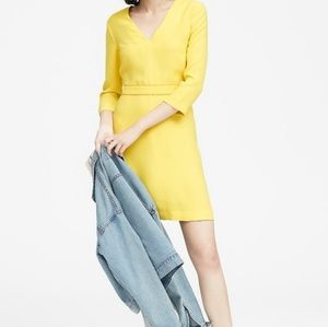 Solid V-Neck Fit and Flare Dress. Pastel Yellow